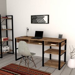 Письменный стол Emro, коричневый цена и информация | Компьютерные, письменные столы | pigu.lt