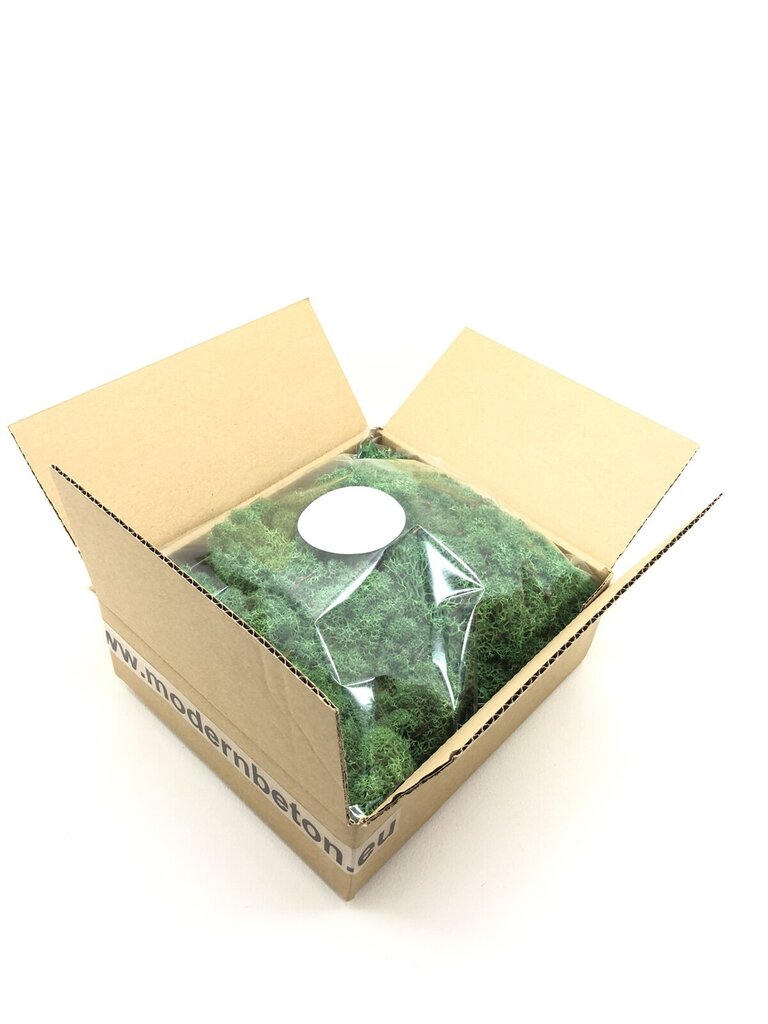 Stabilizuota samana Green grass moss po 300 gr. цена и информация | Miegančios rožės, stabilizuoti augalai | pigu.lt