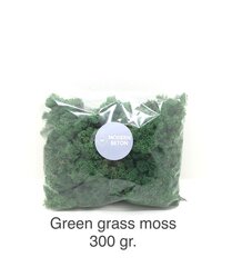 Стабилизированный мох  Green grass 300 гр. цена и информация | Спящие стабилизированные розы, растения | pigu.lt