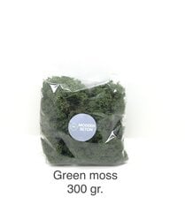 Stabilizuota samana Green moss po 300 gr. kaina ir informacija | Miegančios rožės, stabilizuoti augalai | pigu.lt