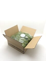 Стабилизированный мох  Green moss 300 гр. цена и информация | Спящие стабилизированные розы, растения | pigu.lt
