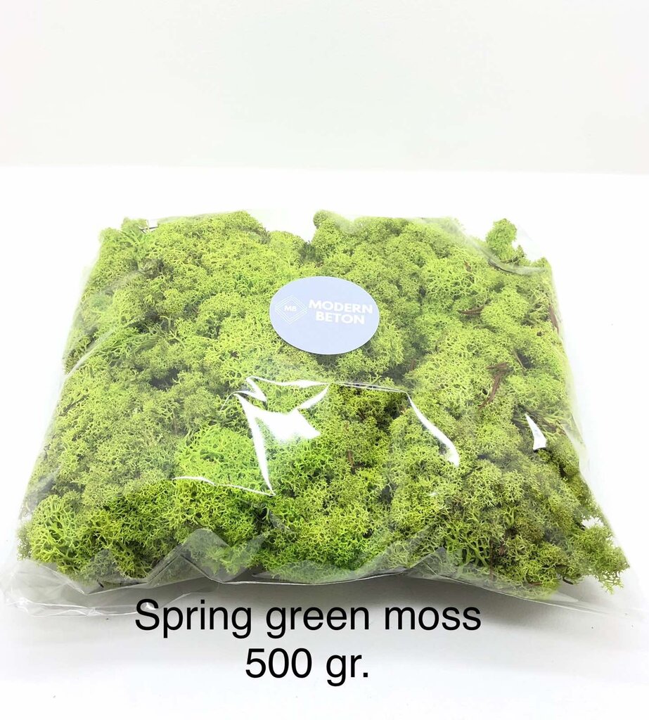 Stabilizuota samana Spring green moss po 500 gr. kaina ir informacija | Miegančios rožės, stabilizuoti augalai | pigu.lt