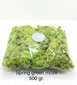 Stabilizuota samana Spring green moss po 500 gr. kaina ir informacija | Miegančios rožės, stabilizuoti augalai | pigu.lt