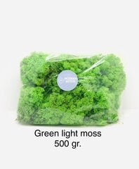 Stabilizuota samana Green light moss po 500 gr. kaina ir informacija | Miegančios rožės, stabilizuoti augalai | pigu.lt