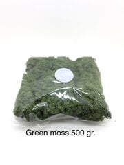 Стабилизированный мох Green moss 500 гр. цена и информация | Спящие стабилизированные розы, растения | pigu.lt