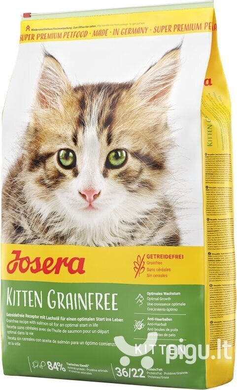 Josera kačiukams begrūdis Kitten Grain Free, 2 kg kaina ir informacija | Sausas maistas katėms | pigu.lt