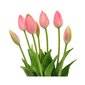 Dirbtinių tulpių puokštė цена и информация | Dirbtinės gėlės | pigu.lt