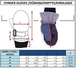 Перчатки для мальчиков JO!CLUB RN-030 цена и информация | Зимняя одежда для детей | pigu.lt