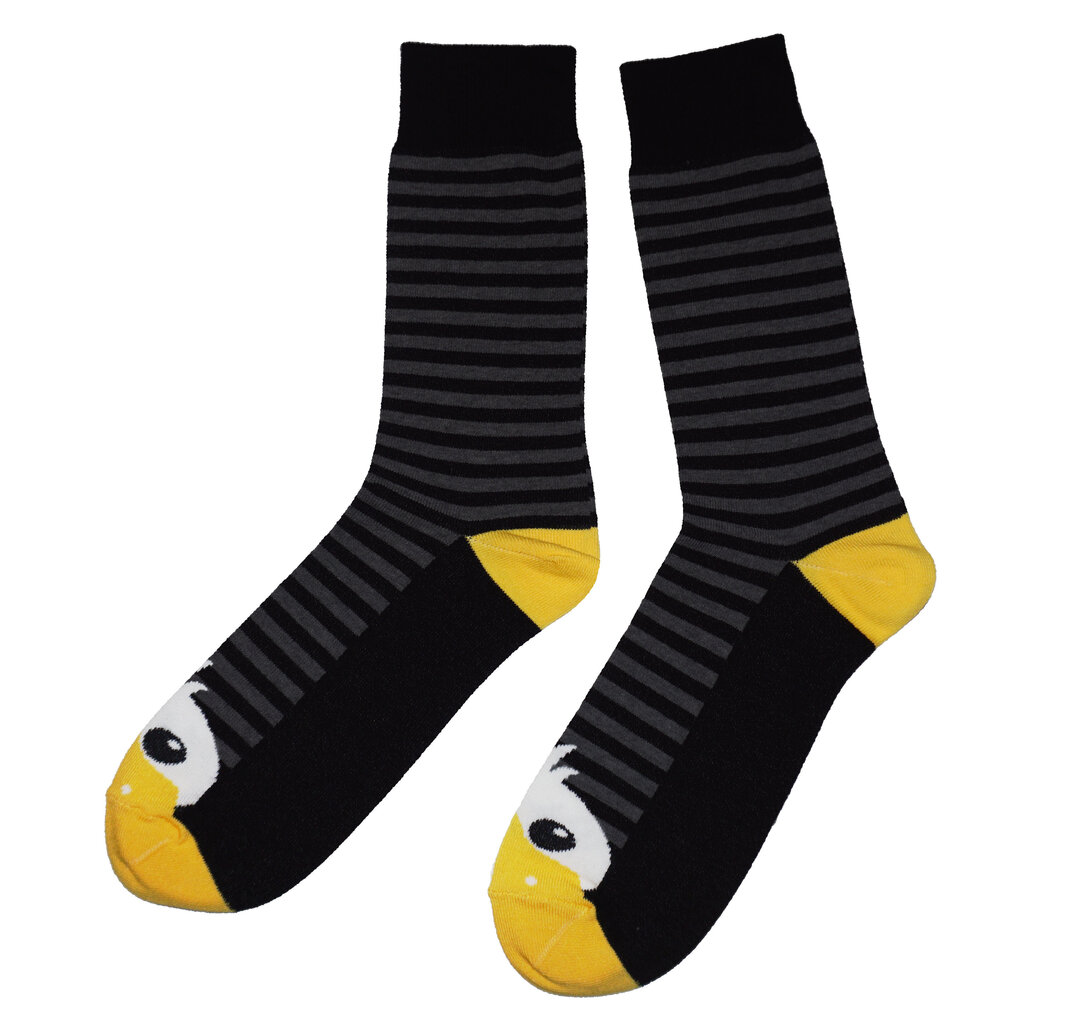 Vyriškos kojinės antis, juodos kaina ir informacija | Vyriškos kojinės | pigu.lt