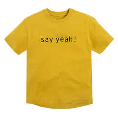 Cool Club marškinėliai trumpomis rankovėmis berniukams, CCB2221399 kaina ir informacija | Marškinėliai berniukams | pigu.lt