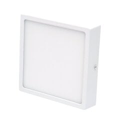 Накладной квадратный светодиодный светильник Modena 16W цена и информация | Потолочные светильники | pigu.lt