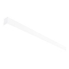 Esna 54W встраиваемый удлиненный белый светодиодный светильник цена и информация | Монтируемые светильники, светодиодные панели | pigu.lt