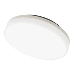 Tope Lighting LED šviestuvas Riosens 15W kaina ir informacija | Lubiniai šviestuvai | pigu.lt