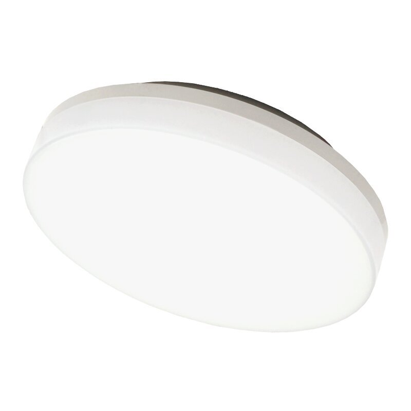 Tope Lighting LED šviestuvas Riosens 15W цена и информация | Lubiniai šviestuvai | pigu.lt