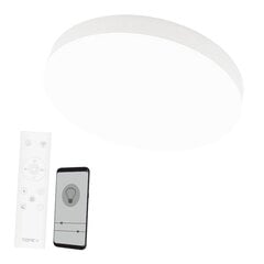 Boston 2x36W потолочный белый светодиодный светильник цена и информация | Потолочные светильники | pigu.lt