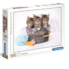 Dėlionė Clementoni High Quality Collection Kittens (Kačiukai), 35065, 500 d. kaina ir informacija | Dėlionės (puzzle) | pigu.lt