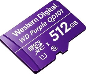 WD WDD512G1P0C 512 GB цена и информация | Карты памяти для фотоаппаратов, камер | pigu.lt