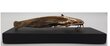 Rankų darbo bronzinė šamo skulptūrėlė ant medinės lentelės kaina ir informacija | Interjero detalės | pigu.lt