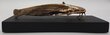 Rankų darbo bronzinė šamo skulptūrėlė ant medinės lentelės kaina ir informacija | Interjero detalės | pigu.lt