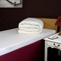 Двухспальное одеяло 200x200 цена и информация | Одеяла | pigu.lt