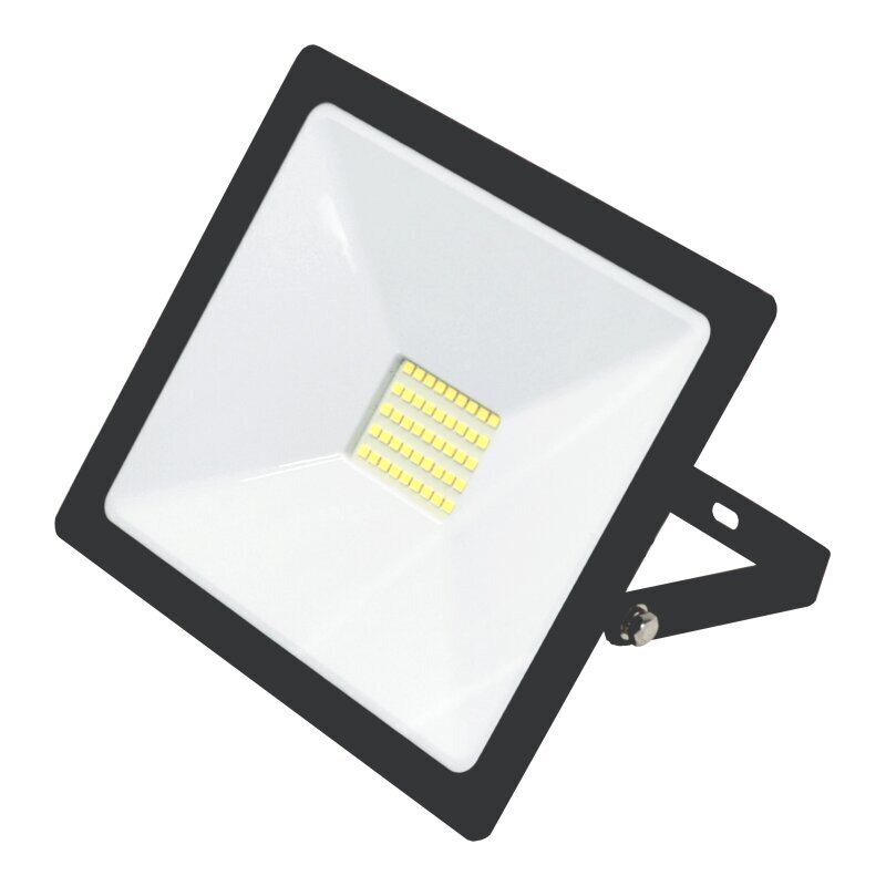 Tope Lighting LED lauko prožektorius Toledo 30W kaina ir informacija | Pakabinami šviestuvai | pigu.lt