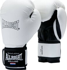 Боксерские перчатки ALLRIGHT 8oz, белые цена и информация | Боевые искусства | pigu.lt