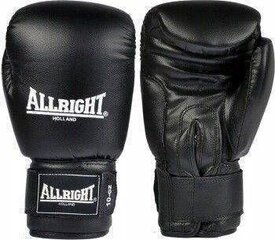 Боксерские перчатки Allright TRAINING PRO 10oz, черный цвет цена и информация | Боевые искусства | pigu.lt