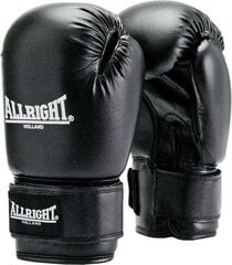 Боксерские перчатки Allright TRAINING PRO 6oz, черный цвет цена и информация | Боевые искусства | pigu.lt