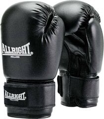 Боксерские перчатки Allright TRAINING PRO 14oz, черного цвета цена и информация | Боевые искусства | pigu.lt