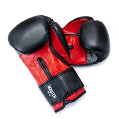 Боксерские перчатки Allright Master цена и информация | Боевые искусства | pigu.lt