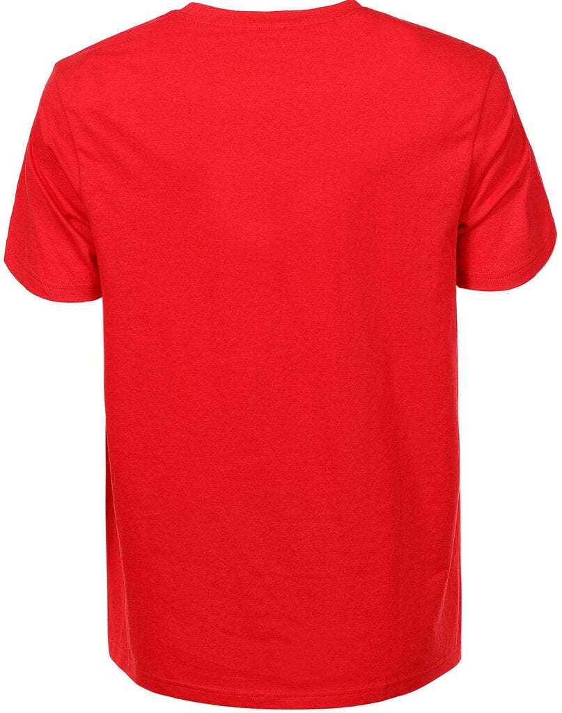 Marškinėliai Vyrams Glo Story Red, raudoni kaina ir informacija | Vyriški marškinėliai | pigu.lt