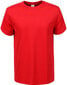 Marškinėliai Vyrams Glo Story Red, raudoni kaina ir informacija | Vyriški marškinėliai | pigu.lt