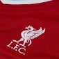 Futbolo aprangos komplektas Nike Liverpool FC Home CZ2636, L dydis, raudonas kaina ir informacija | Futbolo apranga ir kitos prekės | pigu.lt