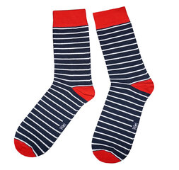 Vyriškos kojinės dryžiai, mėlynos kaina ir informacija | Vyriškos kojinės | pigu.lt