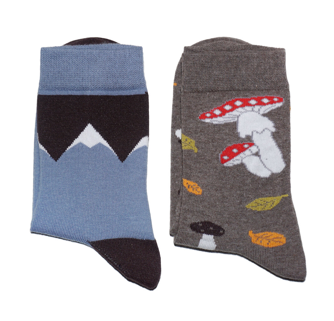 Vyriškos kojinės kalnai, mėlynos kaina ir informacija | Vyriškos kojinės | pigu.lt