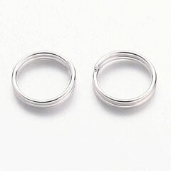 Двойные кольца, 8 мм, 20 шт. цена и информация | Принадлежности для изготовления украшений, бисероплетения | pigu.lt