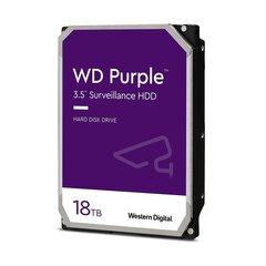 WD WD180PURZ kaina ir informacija | Vidiniai kietieji diskai (HDD, SSD, Hybrid) | pigu.lt