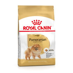 Сухой корм ROYAL CANIN Померанский шпиц Взрослый шпиц, 1,5 кг цена и информация | Сухой корм для собак | pigu.lt