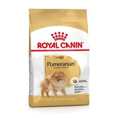 Royal Canin Pomeranian Adult su vištiena, 3 kg цена и информация | Сухой корм для собак | pigu.lt