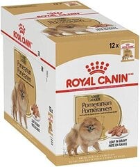 Влажный корм Royal Canin Pomeranian для померанских собак, 12x85 гр цена и информация | Консервы для собак | pigu.lt