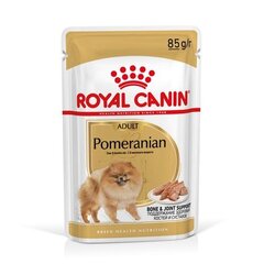 Royal Canin Pomeranian drėgnas maistas Pomeranijos veislės šunims, 12x85g kaina ir informacija | Konservai šunims | pigu.lt