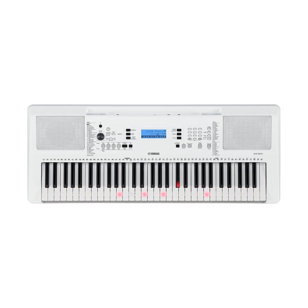 Sintezatorius Yamaha EZ-300 kaina ir informacija | Klavišiniai muzikos instrumentai | pigu.lt