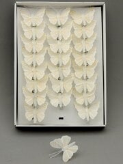 Бабочки белые с золотом, 24 шт. цена и информация | Принадлежности для флористики | pigu.lt
