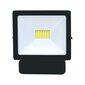Tope Lighting LED lauko prožektorius Toledosens 20W цена и информация | Pakabinami šviestuvai | pigu.lt