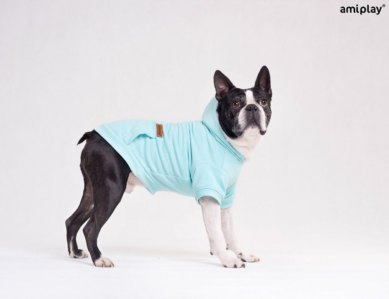 Amiplay džemperis su gobtuvu Texas, XS, mėlynas цена и информация | Drabužiai šunims | pigu.lt