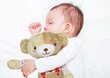 Minkštas žaislas Meškiukas Bob Clementoni Baby, 17418 kaina ir informacija | Žaislai kūdikiams | pigu.lt