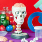 Mokslinis žaidimas Crazy Anatomy Clementoni Science&Play LT,LV,EE kaina ir informacija | Stalo žaidimai, galvosūkiai | pigu.lt