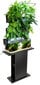 Sieninis modulis augalams Aquael kaina ir informacija | Akvariumo augalai, dekoracijos | pigu.lt
