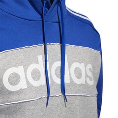 Adidas Джемпер Ent22 Hoody Green HI2141 цена и информация | Мужские толстовки | pigu.lt