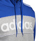 Džemperis vyrams Adidas цена и информация | Džemperiai vyrams | pigu.lt